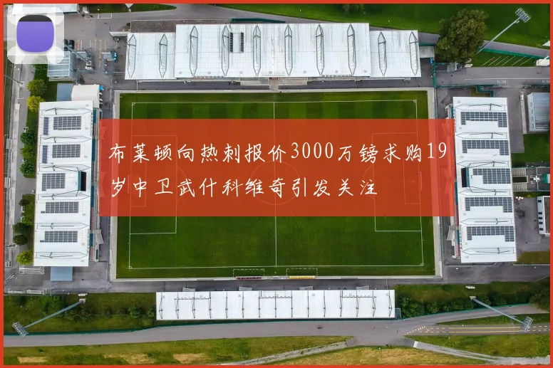 布莱顿向热刺报价3000万镑求购19岁中卫武什科维奇引发关注